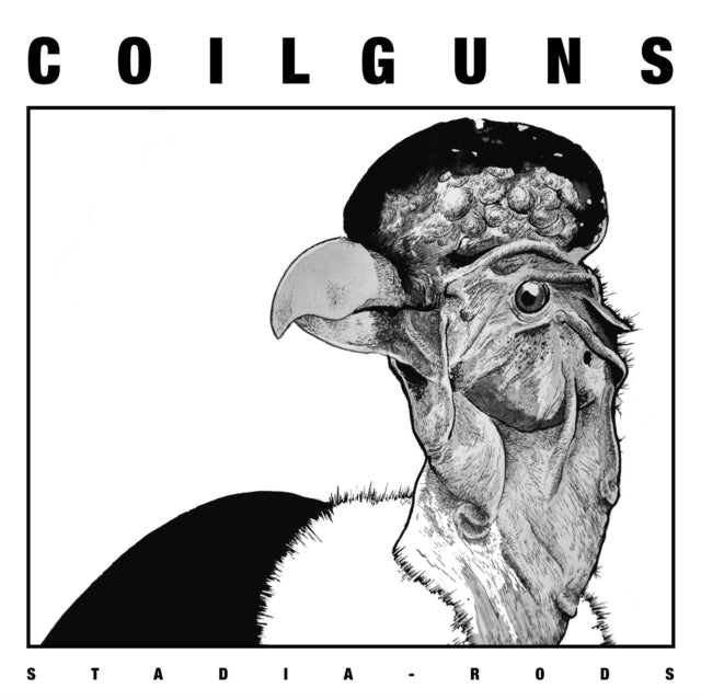 COILGUNS | STADIA RODS | VINYL RECORD (LP)