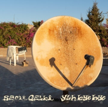 YLH BYE BYE | VINYL RECORD (LP)