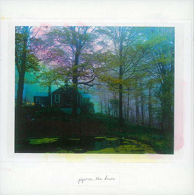 PIGEONS | BOWER | VINYL RECORD (LP)