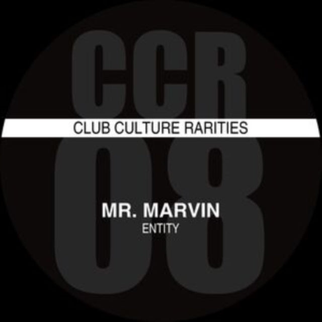 MR. MARVIN | ENTITY | 12IN VINYL