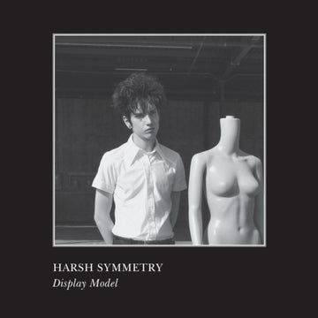 DISPLAY MODEL (WHITE VINYL) | VINYL RECORD (LP)