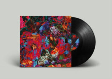 SAN LEO | AVES RARAS | VINYL RECORD (LP)