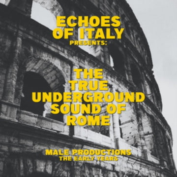 MALE PRODUCTIONS - THE EARLY YEARS | 12IN VINYL
