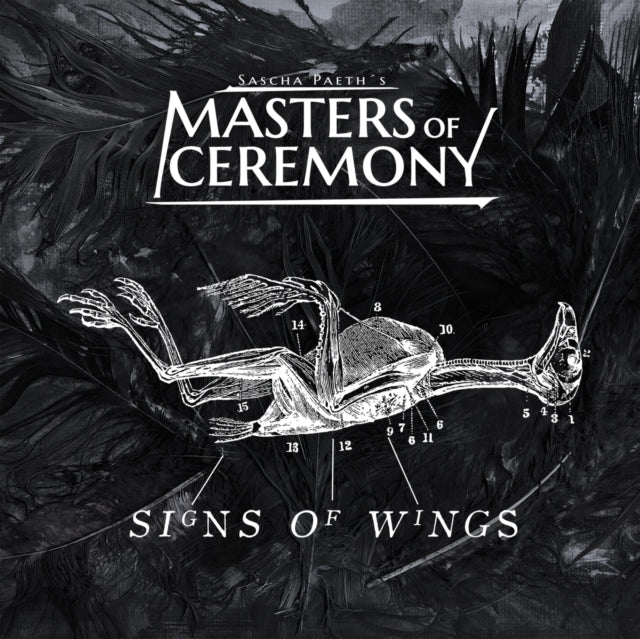 SASCHA PAETH'S MASTERS OF CEREMONY | SIGNS OF WINGS | VINYL RECORD (LP)