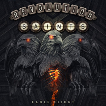 EAGLE FLIGHT (LIMITED) | VINYL RECORD (LP)
