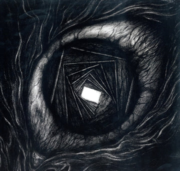CARPE NOCTEM | VITRUN | VINYL RECORD (LP)