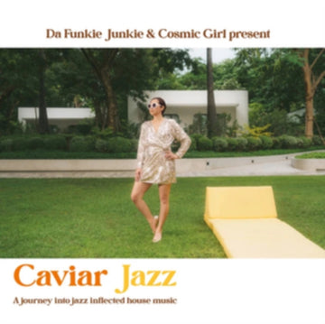 JOURNEY INTO JAZZ INFLECTED | VINYL RECORD (LP)