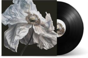 BRING ON THE PSYCHICS | VINYL RECORD (LP)