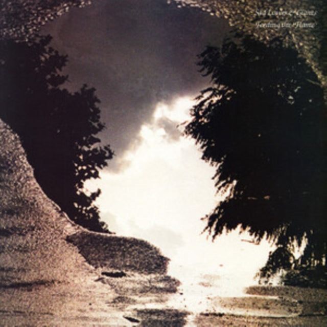 SAD LOVERS & GIANTS | FEEDING THE FLAME | VINYL RECORD (LP)