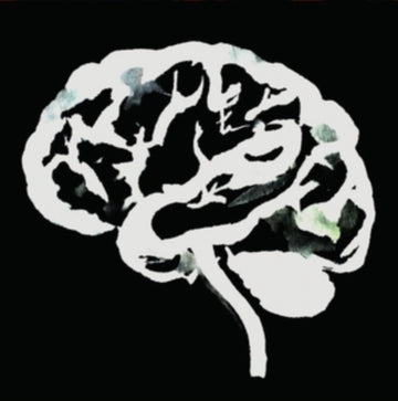 RUINS | BRAIN FLAKES (THE LOST COMBO TAPES) | VINYL RECORD (LP)