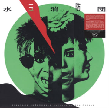 SKYFULL OF RED PETALS | VINYL RECORD (LP)