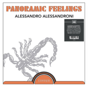 PANORAMIC FEELINGS | VINYL RECORD (LP)