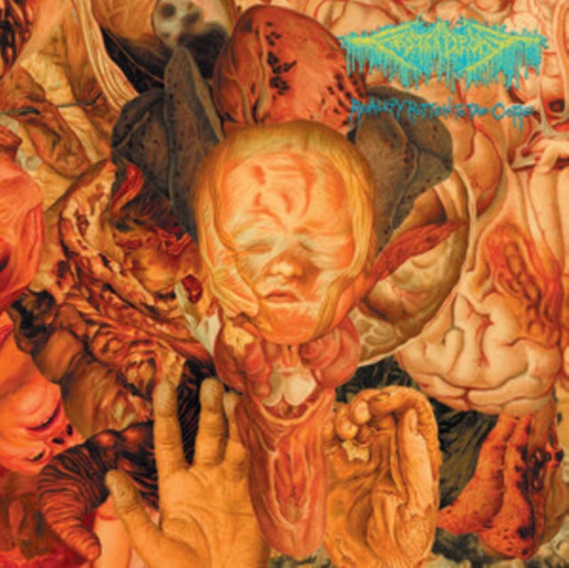 FESTERDECAY | REALITY ROTTEN TO THE CORE | VINYL RECORD (LP)