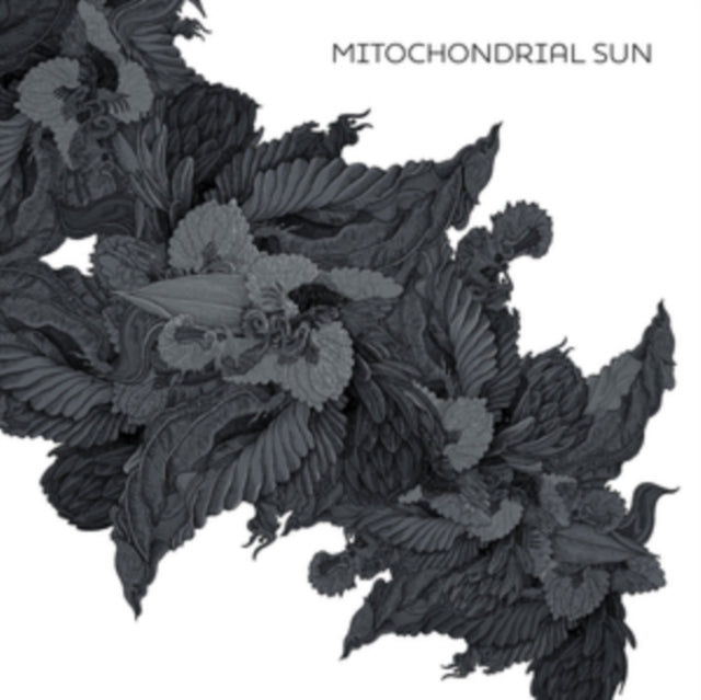 MITOCHONDRIAL SUN | MITOCHONDRIAL SUN | VINYL RECORD (LP)