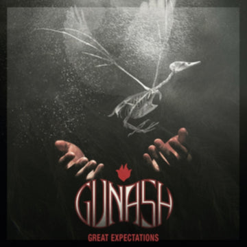 GREAT EXPECTATIONS | VINYL RECORD (LP)