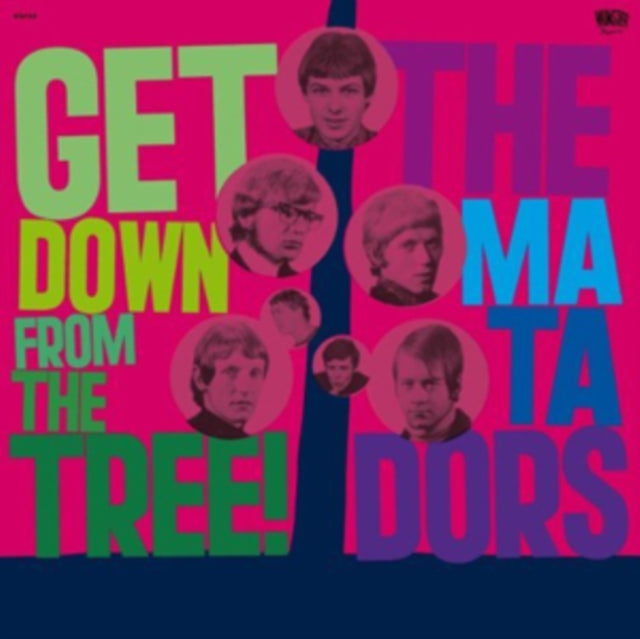 MATADORS | GET DOWN FROM THE TREE (2LP) | VINYL RECORD (LP)