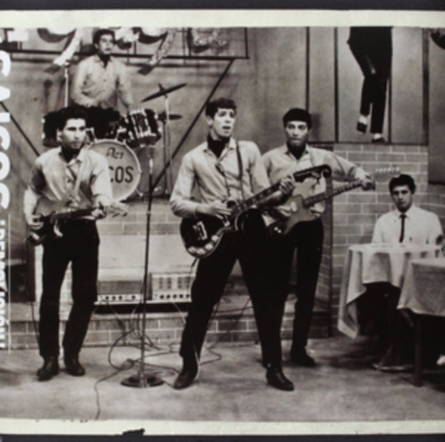 LOS SAICOS | DEMOLICION: THE COMPLETE RECORDINGS | VINYL RECORD (LP)