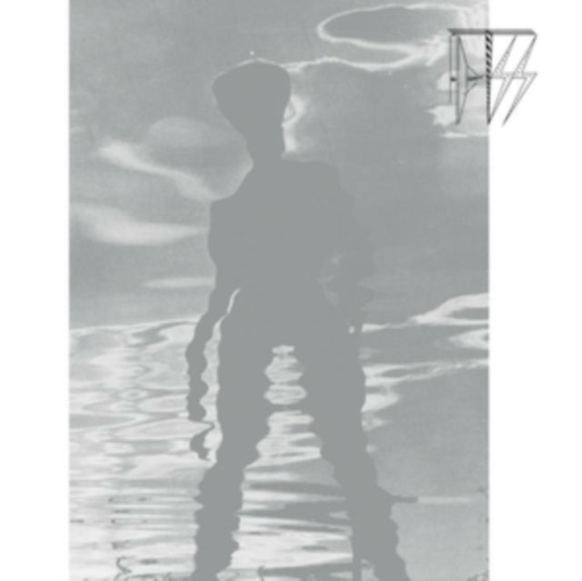 AGENTSS | AGENTSS | 12IN VINYL