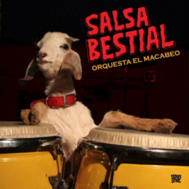 ORQUESTA EL MACABEO | SALSA BESTIAL | VINYL RECORD (LP)