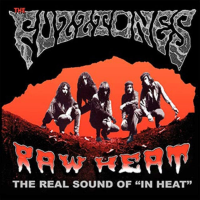 FUZZTONES | RAW HEAT: THE REAL SOUND OF IN HEAT | VINYL RECORD (LP)