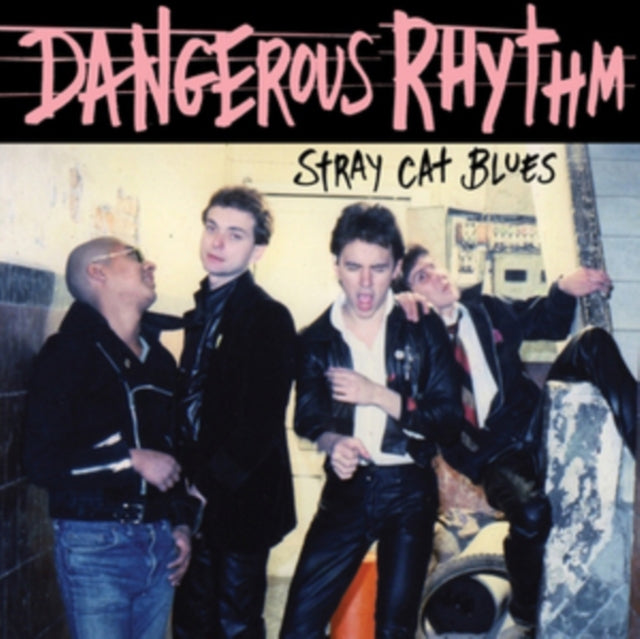 DANGEROUS RHYTHM | STRAY CAT BLUES | 7IN VINYL
