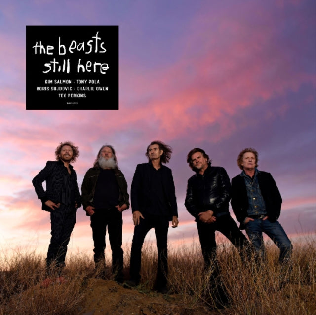 BEASTS | STILL HERE (150G) | VINYL RECORD (LP)