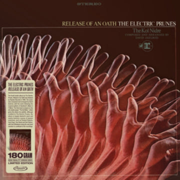 RELEASE OF AN OATH | VINYL RECORD (LP)