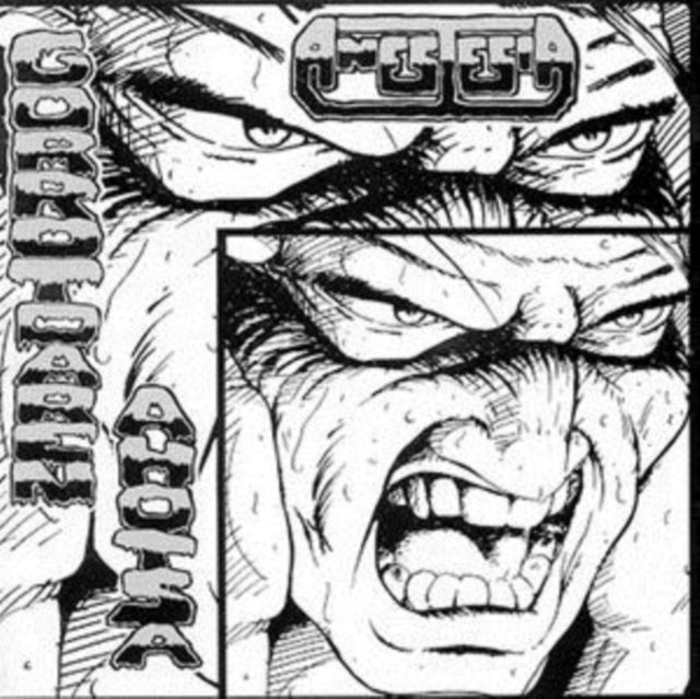 ANESTESIA | GORROTOAREN AHOTSA | VINYL RECORD (LP)
