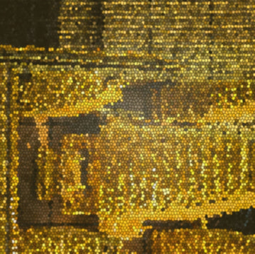 SPRINTERS | STRUCK GOLD | VINYL RECORD (LP)
