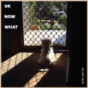 GO GET MUM | OK NOW WHAT | VINYL RECORD (LP)