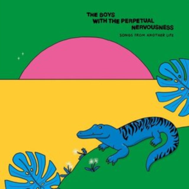 BOYS WITH THE PERPETUAL NERVOUSNESS | SONGS FROM ANOTHER LIFE | VINYL RECORD (LP)