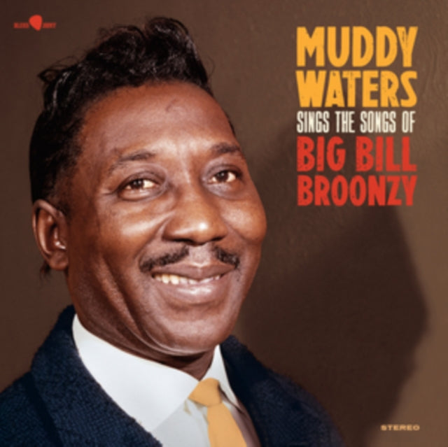 MUDDY WATERS | SINGS BIG BILL | VINYL RECORD (LP)