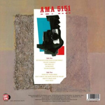 DUMB POET (IMPORT) | VINYL RECORD (LP)