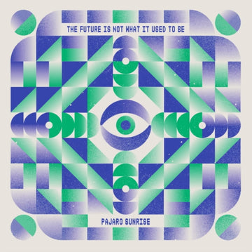 FUTURE IS NOT WHAT IT USED TO BE | VINYL RECORD (LP)