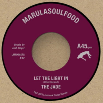 LET THE LIGHT IN / SI NO ME QUIERES ESPERAR | 7IN VINYL