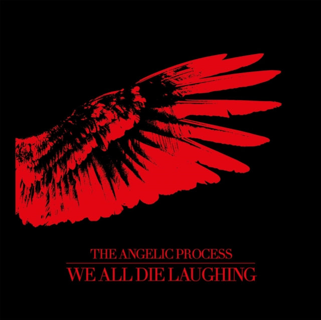 ANGELIC PROCESS | WE ALL DIE LAUGHING (BOX SET) | VINYL RECORD (LP)