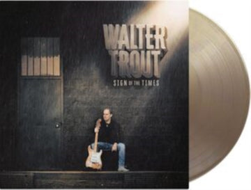 SIGN OF THE TIMES | VINYL RECORD (LP)