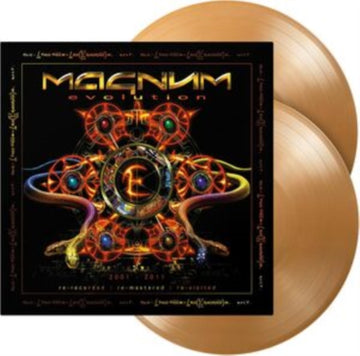 EVOLUTION (140G/REISSUE/2LP) | VINYL RECORD (LP)