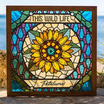 THIS WILD LIFE | PETALUMA | VINYL RECORD (LP)