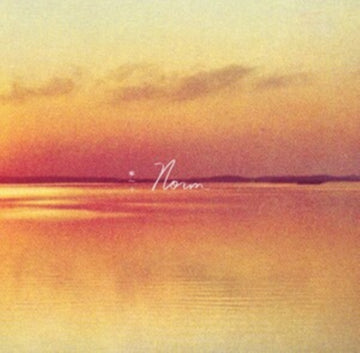 SHAUF, ANDY | NORM | VINYL RECORD (LP)