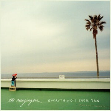 EVERYTHING I EVER SAW | VINYL RECORD (LP)