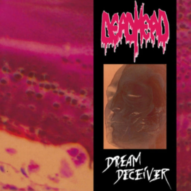 DEAD HEAD | DREAM DECEIVER | VINYL RECORD (LP)