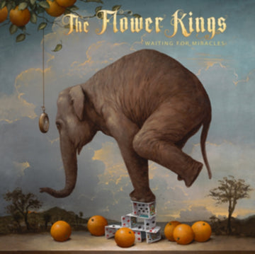 WAITING FOR MIRACLES (BLURBERRY VINYL) | VINYL RECORD (LP)