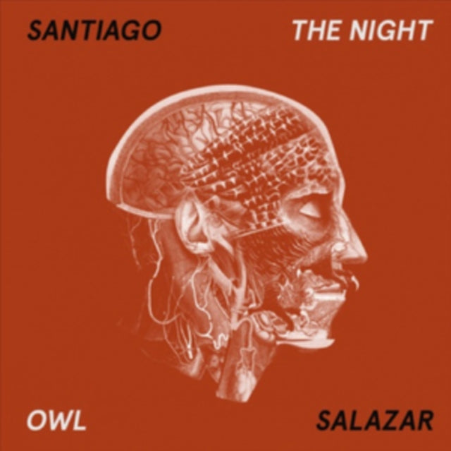 UNKNOWN | NIGHT OWL THE | VINYL RECORD (LP)