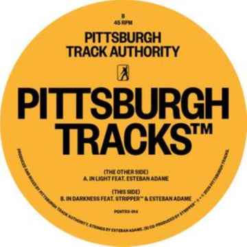 IN LIGHT/IN DARKNESS FT. ESTEB | 12IN VINYL