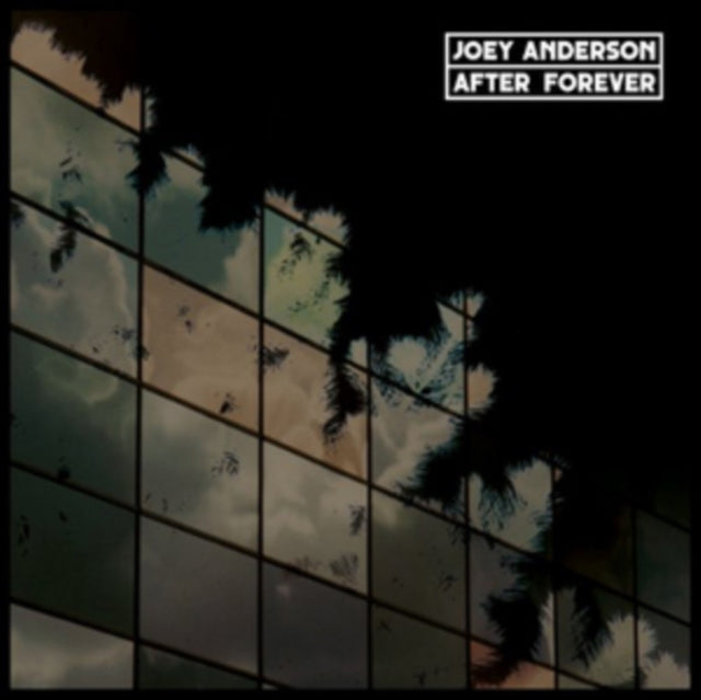 ANDERSON, JOEY | AFTER FOREVER (2LP) | VINYL RECORD (LP)