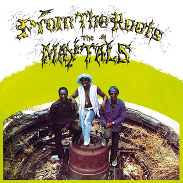 MAYTALS | FROM THE ROOTS (YELLOW & TRANSLUCENT GREEN MARBLED VINYL/180G) | VINYL RECORD (LP)