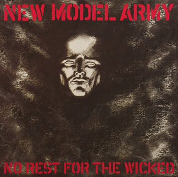 NO REST FOR THE WICKED | VINYL RECORD (LP)