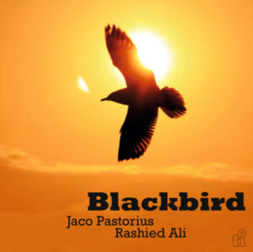 BLACKBIRD (180G/TRANSLUCENT GREEN VINYL) | VINYL RECORD (LP)