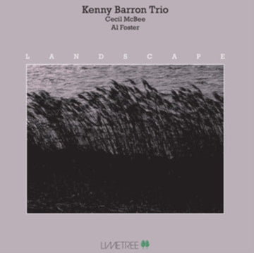 LANDSCAPE (180G) | VINYL RECORD (LP)